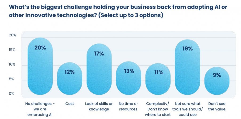 Digital Maturity Report - Barriere all'innovazione